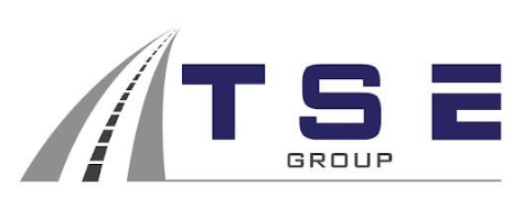 TSE Group logo